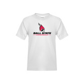 http://products.advanced-online.com/BSU/featured/6-33-BN1603A.jpg
