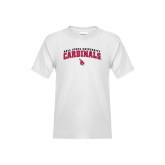 http://products.advanced-online.com/BSU/featured/6-33-BN1603L.jpg