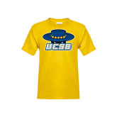 http://products.advanced-online.com/SAB/featured/6-33-RC166V.jpg