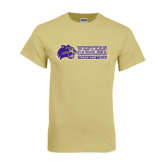 http://products.advanced-online.com/WCU/featured/6-33-YG115VL.jpg