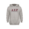 Thumbnail image for  Youth Grey Fleece Hood