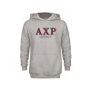 Thumbnail image for  Youth Grey Fleece Hood