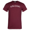 Thumbnail image for  Maroon T Shirt