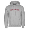 Thumbnail image for  Grey Fleece Hoodie