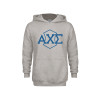 Thumbnail image for  Youth Grey Fleece Hood