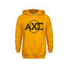 Thumbnail image for  Youth Gold Fleece Hoodie