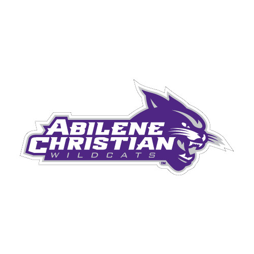  Medium Decal - Primary Logo
