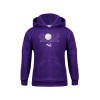 Thumbnail image for  Youth Purple Fleece Hoodie