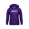 Thumbnail image for  Youth Purple Fleece Hoodie