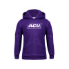 Thumbnail image for  Youth Purple Fleece Hoodie