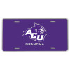 Thumbnail image for  License Plate