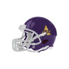 Thumbnail image for  Riddell Replica Purple Mini Helmet