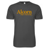 Thumbnail image for  Next Level Charcoal SoftStyle T Shirt