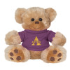 Thumbnail image for  Plush Big Paw 8 1/2 inch Brown Bear w/Purple Shirt