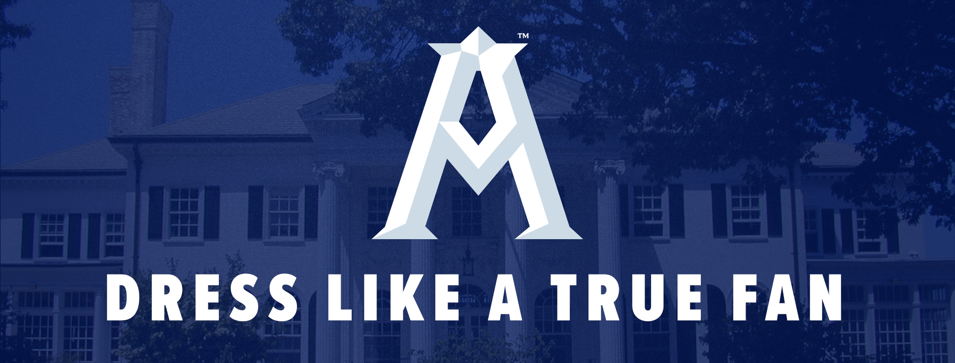 Promotional banner