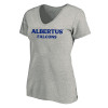 Thumbnail image for  Womens Plus Heather Grey V Neck T Shirt