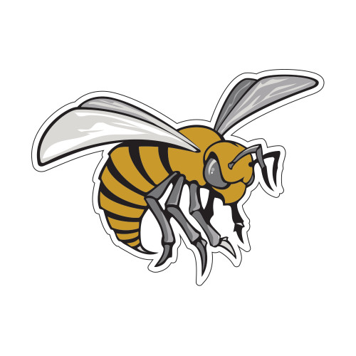  Small Decal - Hornet