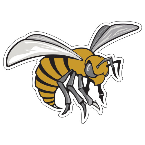  Extra Large Decal - Hornet
