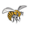 Thumbnail image for  Medium Decal