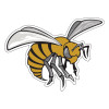 Thumbnail image for  Large Decal