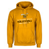 Thumbnail image for  Gold Fleece Hoodie