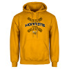 Thumbnail image for  Gold Fleece Hoodie