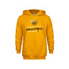 Thumbnail image for  Youth Gold Fleece Hoodie