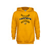 Thumbnail image for  Youth Gold Fleece Hoodie