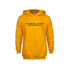 Thumbnail image for  Youth Gold Fleece Hoodie