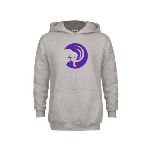  Youth Grey Fleece Hood - Amherst College Circle Mammoth