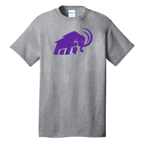 Main Image for  Extended Athletic Heather T Shirt