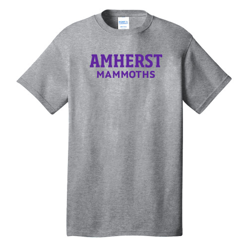 Main Image for  Extended Athletic Heather T Shirt