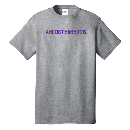 Main Image for  Extended Athletic Heather T Shirt