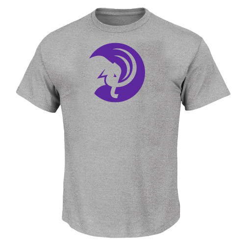  Tall Heather Grey T Shirt - Amherst College Circle Mammoth - PLUS