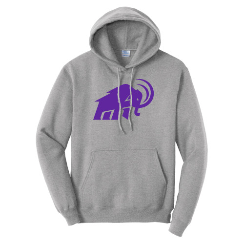  Tall Athletic Heather Fleece Hoodie - Amherst College Mammoth - PLUS