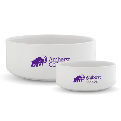  Ceramic Dog Bowl - Mammoth Amherst College Lock Up