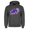 Thumbnail image for  Charcoal Fleece Hoodie