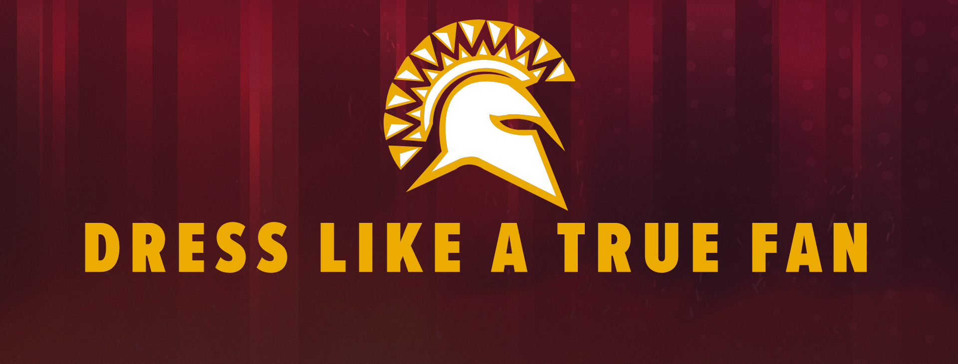 Promotional banner