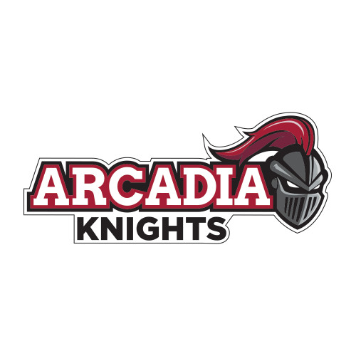  Medium Decal - Official Logo