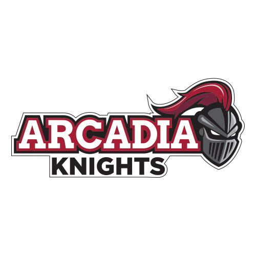  Large Decal - Official Logo