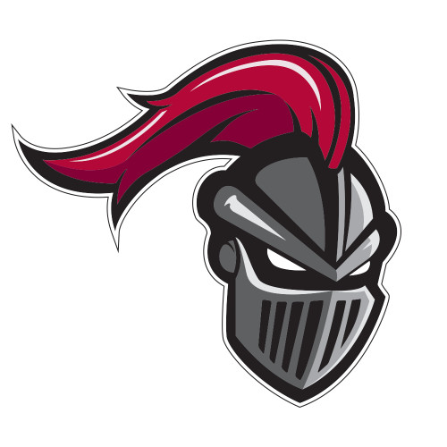  Large Decal - Knight