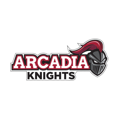  Small Decal - Official Logo