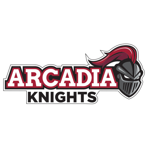  Extra Large Decal - Official Logo
