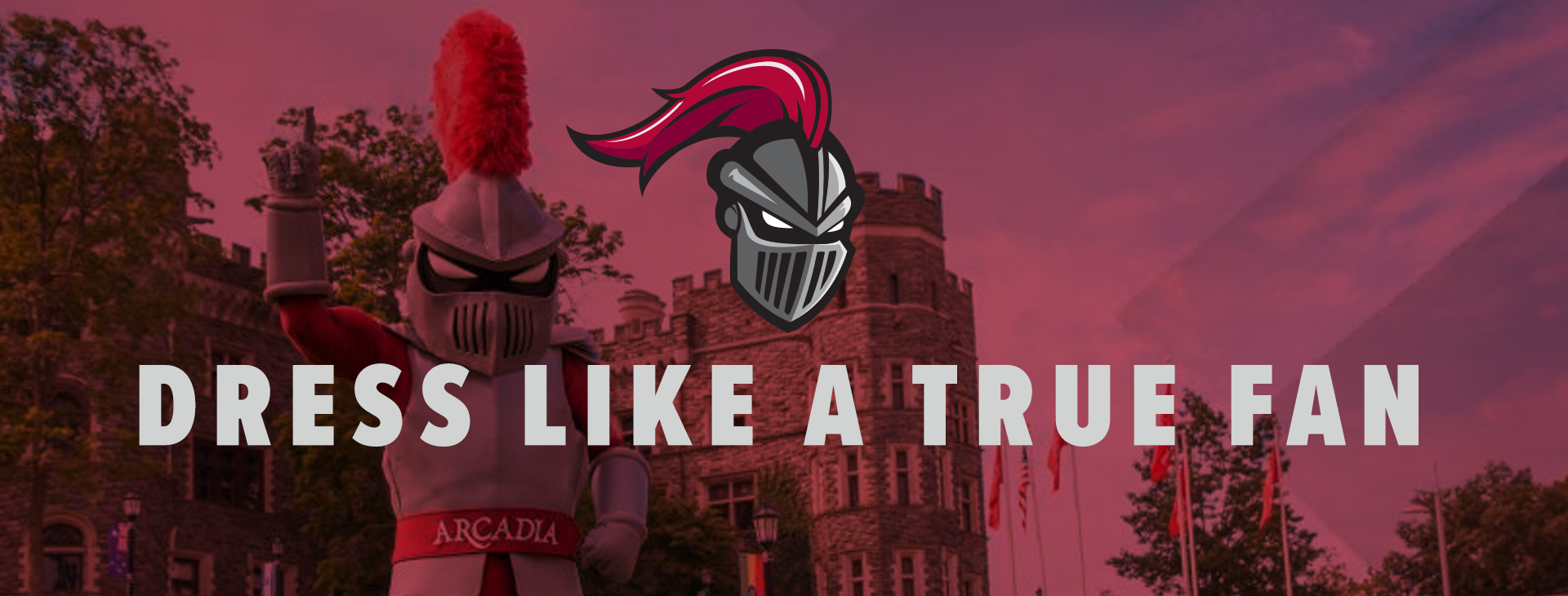 Promotional banner
