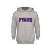 Thumbnail image for  Youth Grey Fleece Hood