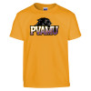 Thumbnail image for  Youth Gold T-Shirt