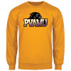 Thumbnail image for  Gold Fleece Crew