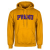 Thumbnail image for  Gold Fleece Hoodie