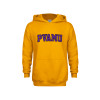 Thumbnail image for  Youth Gold Fleece Hoodie