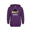 Thumbnail image for  Youth Purple Fleece Hoodie
